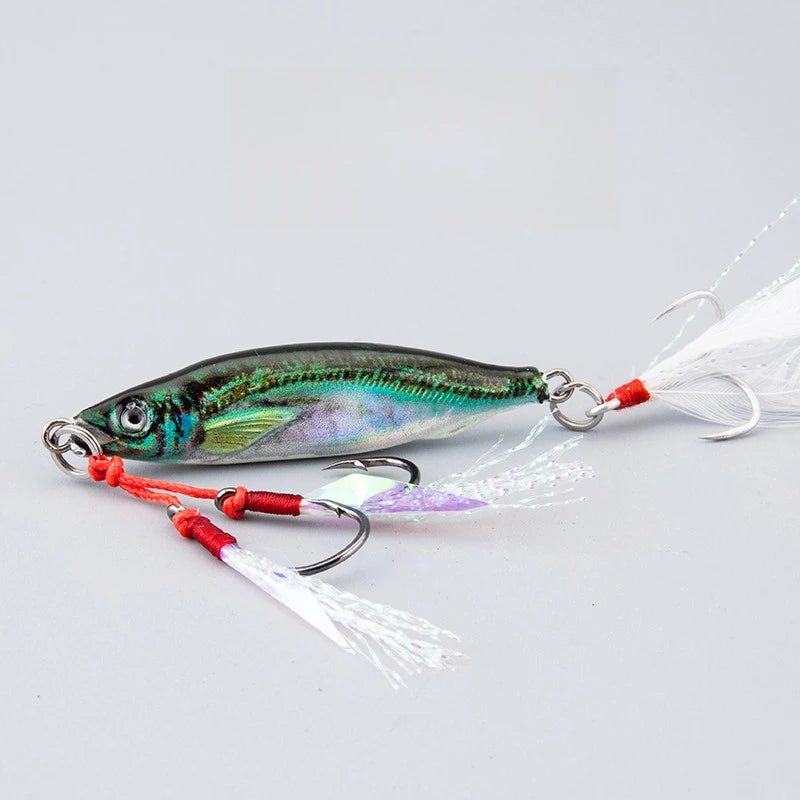 3D Printing Bass Fish 10g-80g Bait Tackle TroutShore Drag Cast Sea Fishing Tuna Slow Jigging Lure Saltwater Hook