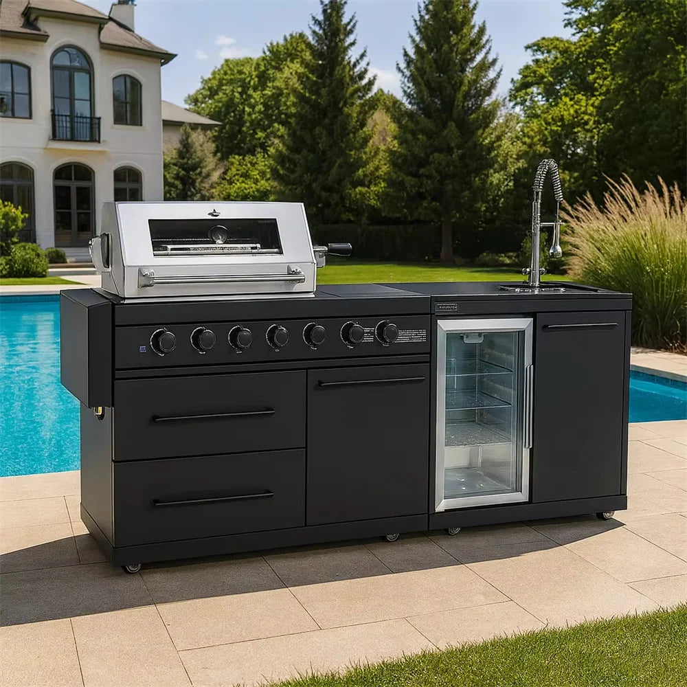 Outdoor kitchen Cabinet BBQ grill Oven and Bar Furniture House garden Stainless Steel Kamado grillInduction cooker customized