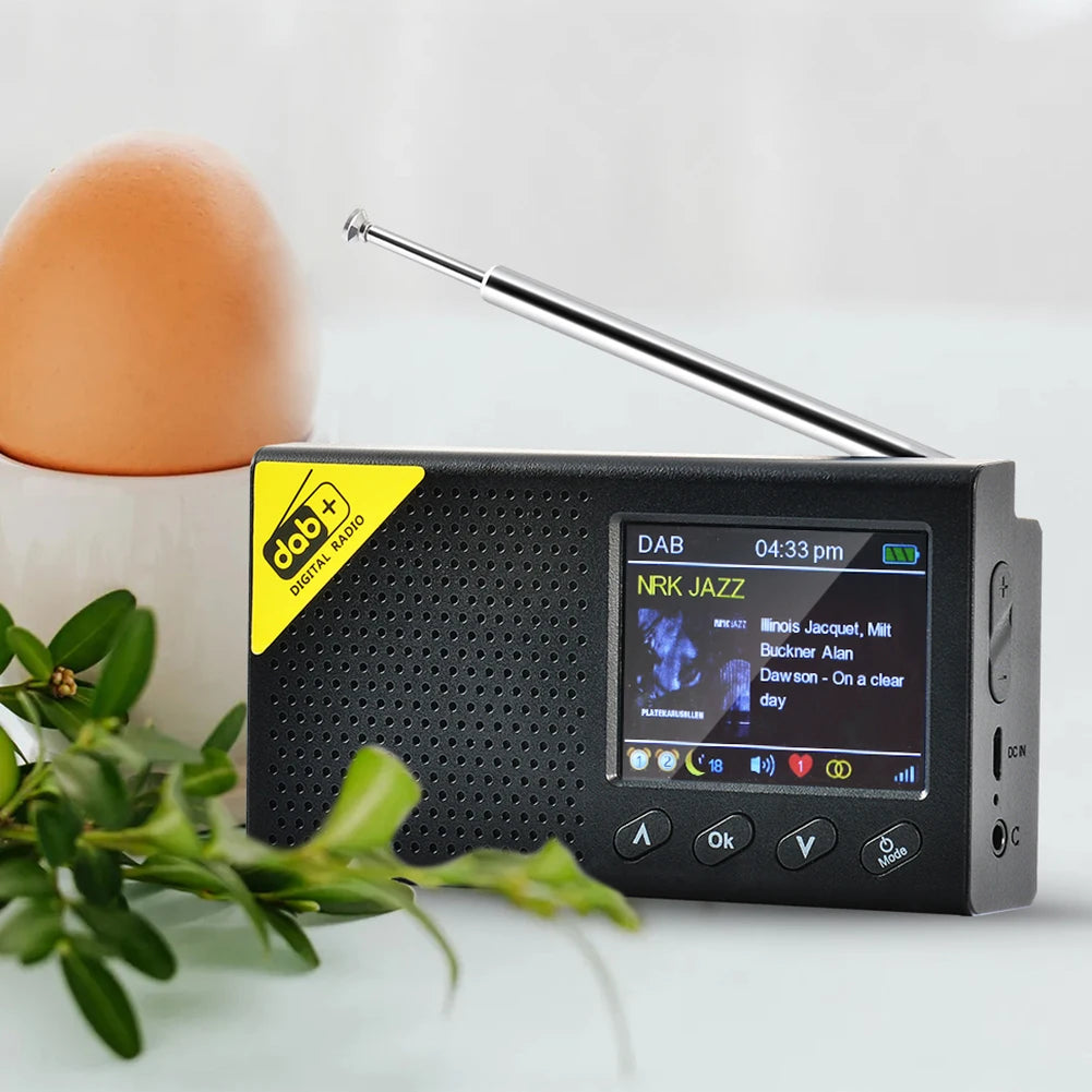 Portable Digital Radio Bluetooth-compatible 5.0 Stereo DAB/DAB+ FM Radio Receiver Rechargeable Radios for Home Office Radio