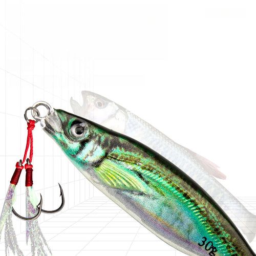 3D Printing Bass Fish 10g-80g Bait Tackle TroutShore Drag Cast Sea Fishing Tuna Slow Jigging Lure Saltwater Hook