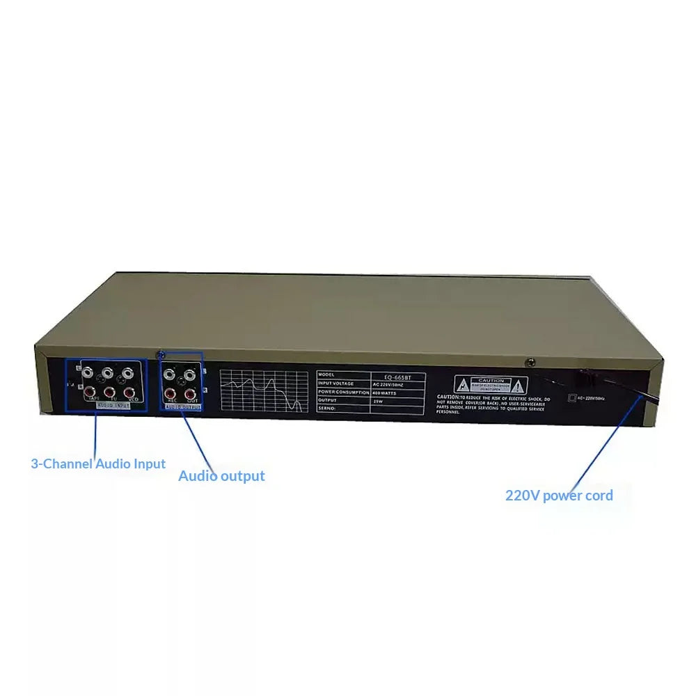 Stereo Equalizer for Home Audio System, Dual Channel 10-Band Graphic Equalizer Professional Rack Mount EQ Tuner, Noise Reduction