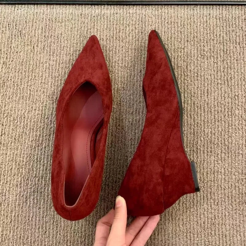 High Heeled Single Shoes Women's 2026 Spring and  Autumn New Wedge Temperament Pointed Toe Single Shoes